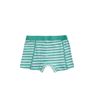 Basic Kids Boys Shorts 2-pack stripe and mint