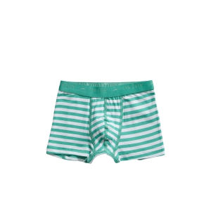 Basic Kids Boys Shorts 2-pack stripe and mint