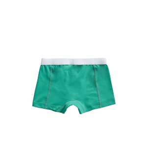 Basic Kids Boys Shorts 2-pack stripe and mint