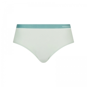 Chantelle Soft Stretch hipster 0WT Green Lily/