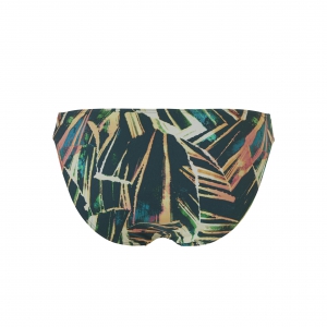 Standard bikini brief palm Leaves