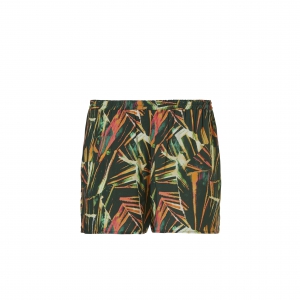 Shorts palm Leaves