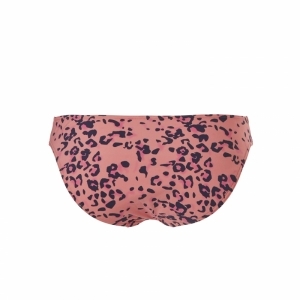 Knot Bikini Brief Wild Animal