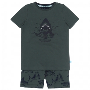 Boys shorts set AOP green+navy