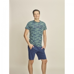 Men Pyjamas Faded green+nav