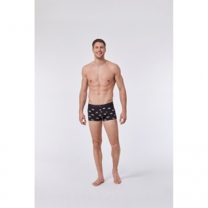 Heren boxershorts 2-pack 074 duopack ant