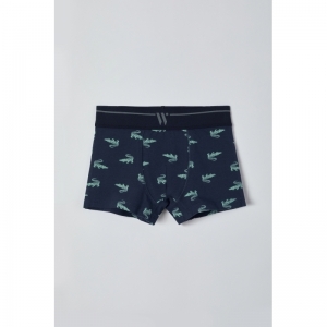 Jongens boxershort (2-pack) 017 duopack bla