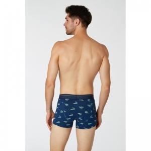 Heren boxershorts (2-pack) 017 duopack bla