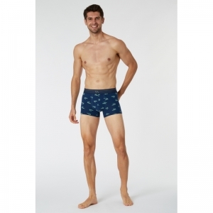 Heren boxershorts (2-pack) 017 duopack bla