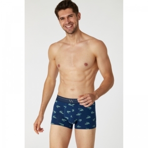 Heren boxershorts (2-pack) 017 duopack bla