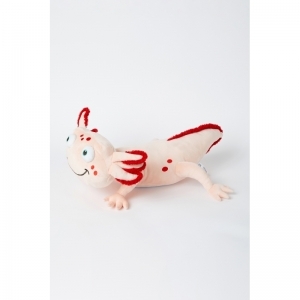 Grote knuffel +-50cm 030 axolotl