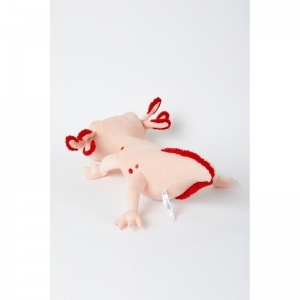 Grote knuffel +-50cm 030 axolotl