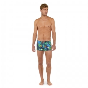 Swim shorts - Toucan P0RA Navy print