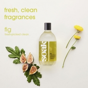 Soak Fig