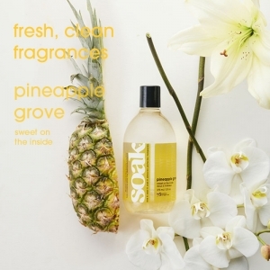 Soak Pineapple Grove