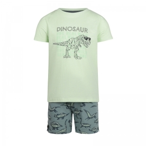 Boys short set ss Light green