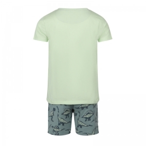 Boys short set ss Light green