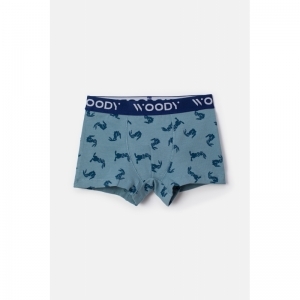 Jongens boxershorts 2-pack 019 duopack haa