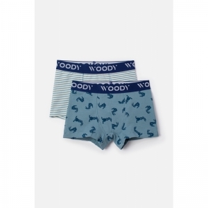 Jongens boxershorts 2-pack 019 duopack haa