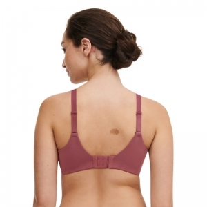 Norah Covering molded bra 085 Sepia