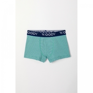 Jongens boxershorts, 2-pack 064 groen-blauw