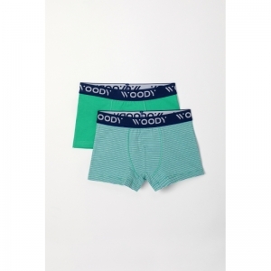 Jongens boxershorts, 2-pack 064 groen-blauw