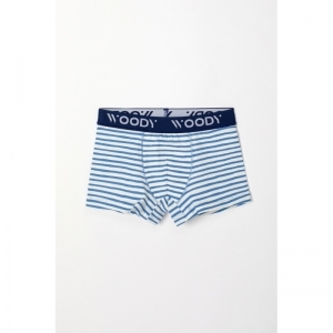 Jongens boxershorts, 2-pack 066 blauw-witte