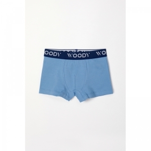 Jongens boxershorts, 2-pack 066 blauw-witte