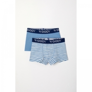 Jongens boxershorts, 2-pack 066 blauw-witte