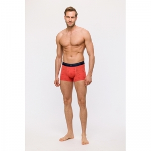 Heren boxer, 2-pack 075 palmbomen p