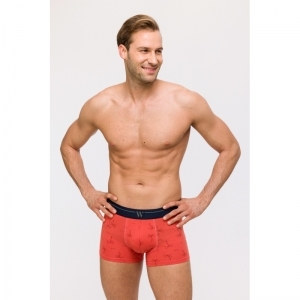 Heren boxer, 2-pack 075 palmbomen p