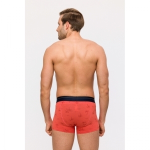 Heren boxer, 2-pack 075 palmbomen p