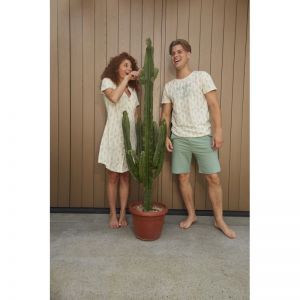 Men short set Light green