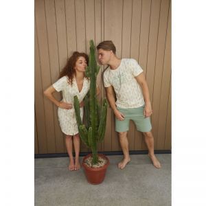 Men short set Light green