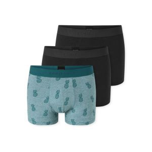 Heren boxershorts, 3-pack 925 sortiert 14
