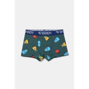 Jongens boxershorts 2-pack 018 alien print